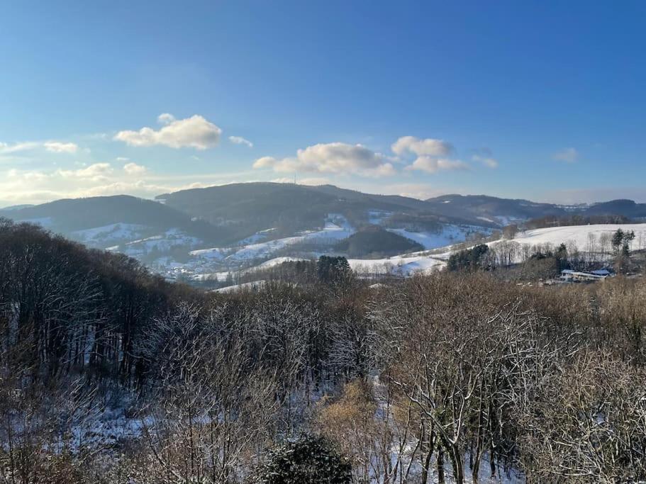 Traumhafter Blick Mit Wohnung Lindenfels エクステリア 写真